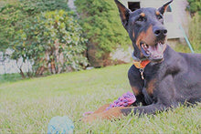 Load image into Gallery viewer, BK PRODUCTS LLC Dog Toys - 13 Puppy Dog Rope Toys - Chew Toy for Puppy Small and Medium Dogs - Puppy Chew Toys - Dog Toy Pack - Set of 13 Chew Toys and Teething Toys with Bonus Storage Bag
