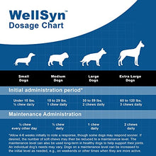 Load image into Gallery viewer, Joint Supplement Dogs - Glucosamine Chondroitin Dogs MSM, Omega 3 &amp; Probiotics - Triple Strength - Veterinarian Grade Alternative to Arthritis &amp; Pain Relief Medication - 60 Chews
