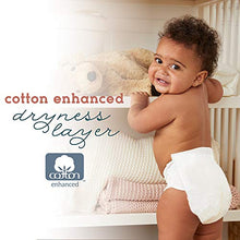 Load image into Gallery viewer, Earth &amp; Eden Baby Diapers, Size 7, 80 Count
