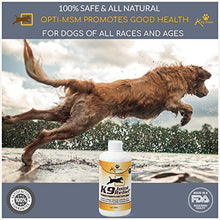 Load image into Gallery viewer, K9 Joint Relief: Glucosamine for Dogs, Liquid Joint Supplement with Chondroitin and MSM, Pain Relief for Arthritis, Hip Dysplasia, Aging, Etc., 32 Ounce
