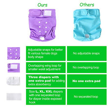 Load image into Gallery viewer, Wegreeco Washable Reusable Premium Dog Diapers, Medium, Bright Color, for Female Dog, Pack of 3

