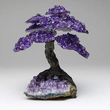 Load image into Gallery viewer, Large Amethyst Clustered Gemstone Tree on Amethyst Matrix
