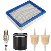 Load image into Gallery viewer, 10L0L Golf Cart Tune Up Kit for Club Car DS 1992-up Gas Carts with FE290 FE350 Engines, Air Filter 1015426, Oil Filter 1016467 41016467, Fuel Filter 1013684 1014522 102003201, Spark Plug
