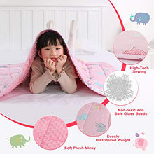 Load image into Gallery viewer, TerriTrophy Kids Weighted Blanket 7lbs,41 x 60inches, Minky &amp; Cotton Weighted Blanket for Kids, Toddlers, Boys, Girls, Children,Best Gifts for Christmas Birthday
