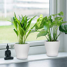 Load image into Gallery viewer, HOMENOTE Plant Pots, Set of 15 Plastic Planters with Multiple Drainage Holes and Tray 6 inch Indoor Plant Pot for All Home Garden Flowers Succulents (White)
