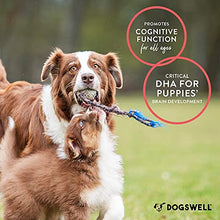 Load image into Gallery viewer, DOGSWELL Wild Alaskan Salmon Oil, 32 Ounces - Omega 3 Supplements for Dogs
