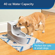 Load image into Gallery viewer, PetSafe Drinkwell Mini Pet Fountain for Cats and Small Dogs – Filtered Water – Filter Included, PWW00-14402
