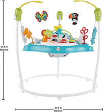 Load image into Gallery viewer, Fisher-Price Color Climbers Jumperoo
