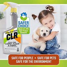 Load image into Gallery viewer, CLR Stain-Free Carpet, Floor &amp; Fabric, Fast-Acting Stain Remover, 26 Ounce
