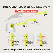 Load image into Gallery viewer, All for Paws Interactive Dog Automatic Ball Launcher Fetching Toy for Large Dogs,
