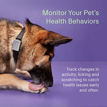 Load image into Gallery viewer, Whistle GPS + Health + Fitness - Smart Dog Collar, Waterproof Dog GPS Tracker Plus Health &amp; Fitness Monitor, 24/7 Pet Tracker, 2 Rechargeable Batteries, Switch (Newest Model), (Black), S/M
