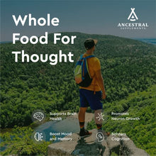 Load image into Gallery viewer, Ancestral Supplements Grass Fed Beef Brain Supplement with Beef Liver, 3000mg, Whole Food Brain Support for Brain, Mood &amp; Memory Health, Brain &amp; Liver Health Formula Capsules, Non-GMO, 180 Capsules
