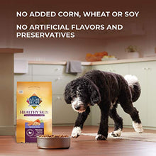 Load image into Gallery viewer, Nature’s Recipe Healthy Skin Vegetarian Recipe Dry Dog Food, 24 Pound Bag
