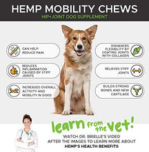 Load image into Gallery viewer, PetHonesty Hemp Hip &amp; Joint Supplement for Dogs - Hemp Oil &amp; Hemp Powder - Glucosamine Chondroitin for Dogs Turmeric, MSM, Green Lipped Mussel, Dog Treats Improve Mobility, Reduces Discomfort - Duck
