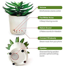 Load image into Gallery viewer, Sleep Plant - Sound Machine - Fan Sounds - White Noise - Nature Sounds
