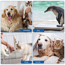 Load image into Gallery viewer, SurmountWay 440lbs Digital Livestock Scale Large Pet Vet Scale Stainless Steel Platform Electronic Postal Shipping Scale Industrial Floor Scale Heavy Duty Dog Scale
