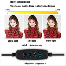 Load image into Gallery viewer, CWH&amp;WEN 10 Inch Ring Light with Tripod Stand, Selfie Fill Lamp with 3 Cell Phone Holders, 3 Lighting Modes, Adjustable Brightness, for YouTube Video and Makeup
