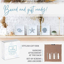 Load image into Gallery viewer, Seashell Wall Decor sets - Rustic Pastels and Coastal Blue
