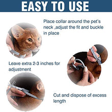 Load image into Gallery viewer, Flea and Tick Collar for Cat, Made with Natural Plant Based Essential Oil, Safe and Effective Repels Fleas and Ticks, Waterproof, 12 Months Protection, 13.8 in (2 Packs)
