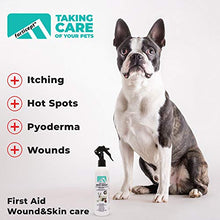 Load image into Gallery viewer, Forticept Maxi-Wash Antiseptic Antifungal Antibacterial Medicated Itch Relief Hot Spot Spray for Dogs &amp; Cats|First Aid Skin and Paw Cleanser | Wounds Treatment 8 oz
