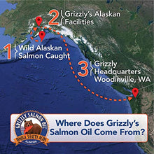 Load image into Gallery viewer, Grizzly All-Natural Wild Caught Alaskan Salmon Oil Dog Food Supplement | Balanced Blend of Omega-3 Fatty Acids | Medical Grade Pump for Exact, No-Spill Dose (32 oz)

