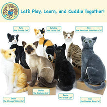 Load image into Gallery viewer, Stefan The Siamese Cat - 14 Inch Stuffed Animal Plush - by Tiger Tale Toys

