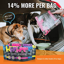 Load image into Gallery viewer, Vital Essentials Freeze-Dried Beef Mini Nibs Dog Food, 16 oz
