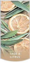 Load image into Gallery viewer, Yankee Candle Large Jar Candle Sage &amp; Citrus

