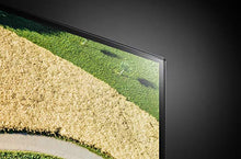 Load image into Gallery viewer, LG OLED55B9PUA B9 Series 55" 4K Ultra HD Smart OLED TV (2019)
