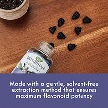 Load image into Gallery viewer, Nature's Way Sambucus Elderberry Gummies with Vitamin C &amp; Zinc, Gluten Free, Vegetarian, 60 Gummies
