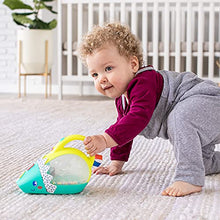 Load image into Gallery viewer, Infantino Push &amp; Pop Musical Light-Up Mini-Vac Hedgehog Mini-Me Pretend Toy Vacuum with Music, Lights, Bouncing Balls, Sounds &amp; Buttons, Helps Build Gross Motor Skills, for Babies &amp; Toddlers
