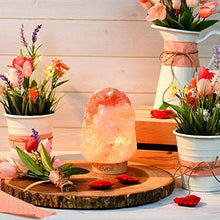 Load image into Gallery viewer, LEVOIT Kana Himalayan Salt Lamp, Pink Rock Large Crystal Natural Himilian Gift Night Light (ETL Certified) Touch Dimmer, 2 Extra Bulbs, Rubber Wood Base
