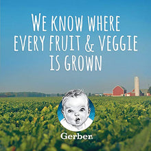 Load image into Gallery viewer, Gerber 2nd Foods Macaroni &amp; Cheese with Vegetables Pureed Baby Food, 4 Ounce Tubs, 2 Count (Pack of 8)
