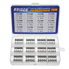 Load image into Gallery viewer, BOJACK 12 Values 60 pcs Slow Blow Glass Fuses Assortment Kit 5x20mm 250V T0.5A 1A 1.25A 1.6A 2A 2.5A 3A 3.15A 4A 5A 6.3A 10A packag in a Clear Plastic Box
