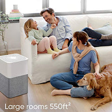 Load image into Gallery viewer, Blueair Blue Pure 211+ Auto Large Area Air Purifier with Auto mode for allergies, pollen, dust smoke, pet dander with HEPASilent technology and washable pre-filter
