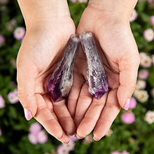 Load image into Gallery viewer, KALIFANO Crystal Starter Kit (2,000 Carats Total) - Black Tourmaline, Amethyst, Lepidolite, and Blue Kyanite (Information Cards Included)
