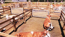 Load image into Gallery viewer, Real Farm - Xbox One
