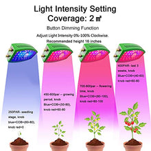 Load image into Gallery viewer, CWH&amp;WEN LED Plant Grow Light, 1100W LED Grow Lamp with Red Blue IR Light Full Spectrum for Indoor/Grow Box/Greenhouse Hydroponic Veg Flower Growth
