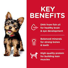 Load image into Gallery viewer, Hill's Science Diet Dry Dog Food, Puppy, Small Paws, Chicken Meal, Barley &amp; Brown Rice Recipe, 15.5 lb Bag
