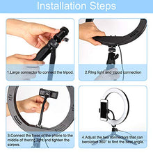 Load image into Gallery viewer, Selfie Ring Light with Tripod Stand, 10.2" Desktop LED Makeup Ring Light, Phone Holder for YouTube Video, Live Stream, Shooting, Dimmable Selfie Ring Light with 3 Light Modes &amp; 14 Brightness Level

