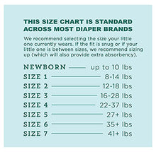 Load image into Gallery viewer, Amazon Brand - Mama Bear Gentle Touch Diapers, Hypoallergenic, Newborn, 120 Count (4 packs of 30)
