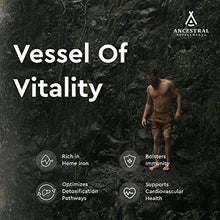 Load image into Gallery viewer, Ancestral Supplements Blood Vitality, Grass Fed Beef Liver, Spleen &amp; Blood Supplements Support Blood, Iron &amp; Immune Health, Promotes Increased Energy &amp; Exercise Performance, Non-GMO, 180 Capsules
