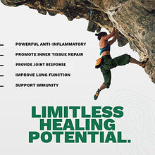 Load image into Gallery viewer, Tribe Organics, 420mg Boswellia Complex for Joint Support, Muscle Relief, Reduce Inflammation - Organic, Vegan, Non GMO, High-Potency - Boswellin Super with Ginger Extract &amp; Black Pepper, 120 Capsules
