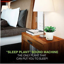 Load image into Gallery viewer, Sleep Plant - Sound Machine - Fan Sounds - White Noise - Nature Sounds
