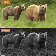 Load image into Gallery viewer, BlazeVideo WiFi Deer &amp; Trail Game Camera 32MP 1296P No Glow Night Vision Time Lapse Waterproof Motion Activated Photo &amp; Video Model for Wildlife Scouting Hunting &amp; Home or Backyard Security
