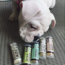 Load image into Gallery viewer, Natural Dog Company Powerhouse Travel Set - 5 Ct. TRIAL Sticks - Organic, All-Natural Healing Balms - Heals Cracked Paw Pads, Skin Fold Dermatitis &amp; Dry Nose
