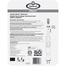 Load image into Gallery viewer, Arm &amp; Hammer Spinbrush Pro+ Deep Clean Battery Powered Toothbrush, Club Tray, 2 Brushes, 4 Refills
