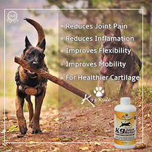 Load image into Gallery viewer, K9 Joint Relief: Glucosamine for Dogs, Liquid Joint Supplement with Chondroitin and MSM, Pain Relief for Arthritis, Hip Dysplasia, Aging, Etc., 32 Ounce
