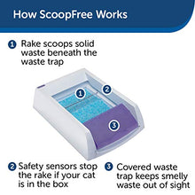 Load image into Gallery viewer, PetSafe PAL00-14242 ScoopFree Original Self-Cleaning Cat Litter Box - Automatic with Disposable Tray and Non-Clumping Crystal Litter - Purple
