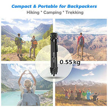 Load image into Gallery viewer, UBeesize Phone Tripod, 51" Adjustable Travel Video Tripod Stand with Cell Phone Mount Holder &amp; Smartphone Bluetooth Remote, Compatible with iPhone/Android (Black)
